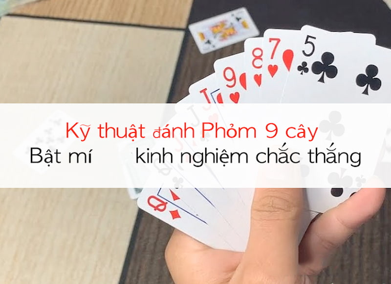 Mẹo chơi phỏm 9 cây cho người mới bắt đầu